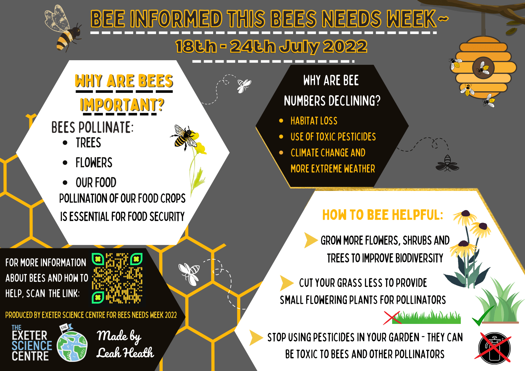 Bees are important as they pollinate trees, flowers and our food. But they are declining due to habitat loss, use of pesticides and climate change. We can help by growing more flowers, shrubs and trees. By cutting grass less to provide small flowering plants, and by not using pesticides in our gardens.