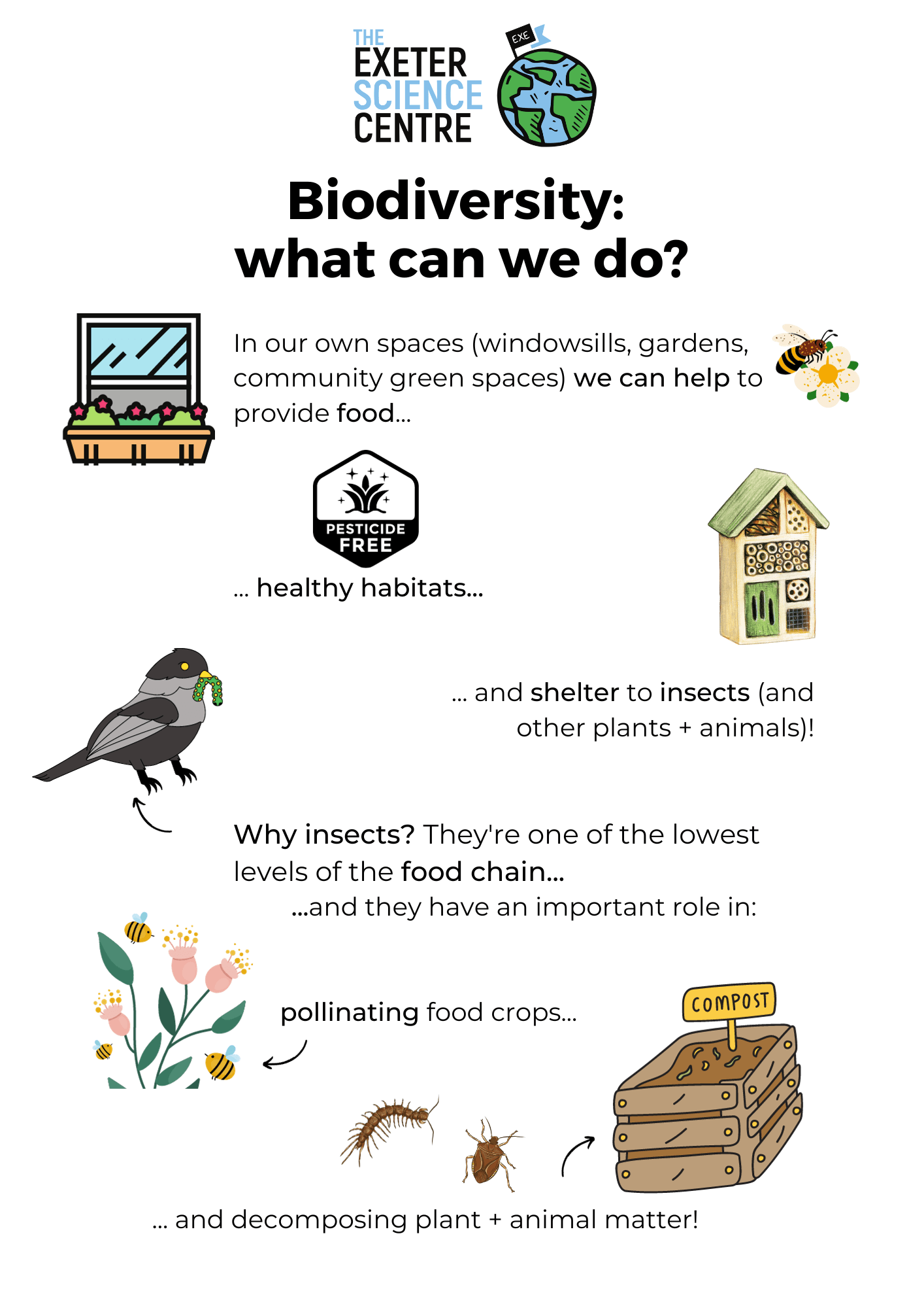 Biodiversity: what can we do? In our own spaces (windowsills, gardens, community green spaces) we can help to provide food, healthy habitats, and shelter to insects (and other plants + animals)! Why insects? They're one of the lowest levels of the food chain, and they have an important role in pollinating food crops, and decomposing plant and animal matter.