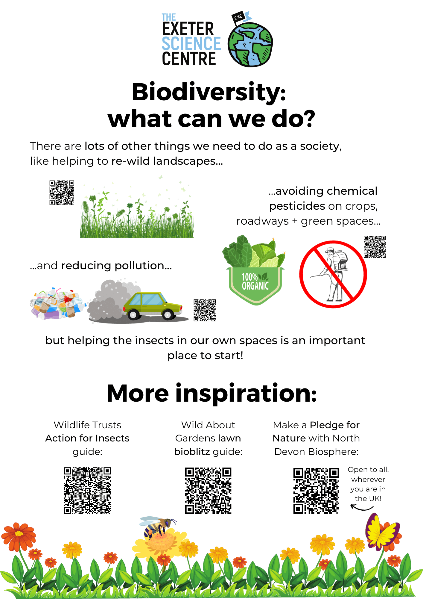 Biodiversity: what can we do? There are lots of other things we need to do as a society, like helping to re-wild landscapes, avoiding chemical pesticides on crops, roadways and green spaces, and reducing pollution. But helping insects in our own spaces is an important place to start! More inspiration: see wildlife trusts action for insects guide, the wild about gardens lawn bioblitz guide, or make a pledge for nature with north devon biosphere.